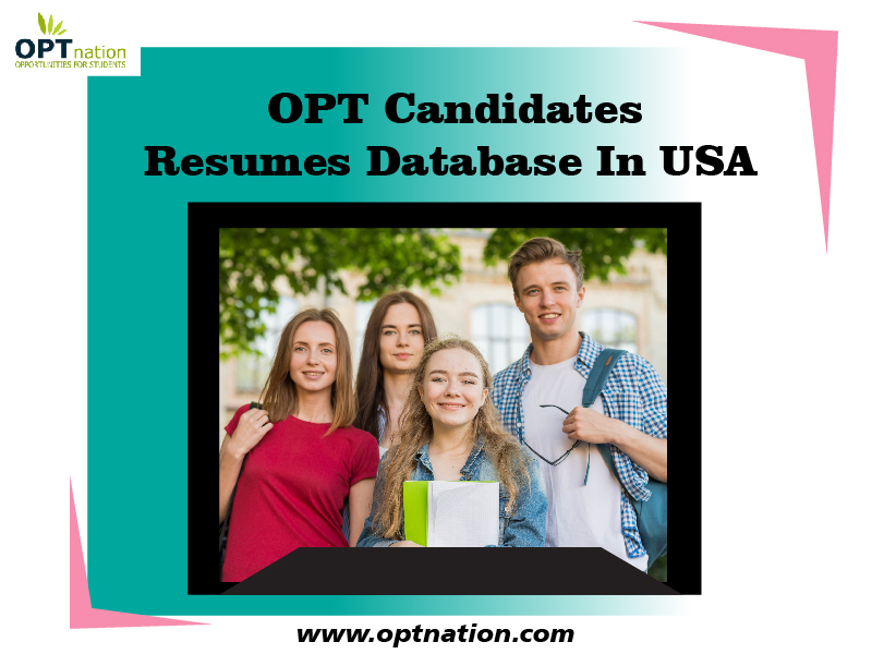 OPT Candidates Resumes Database In USA